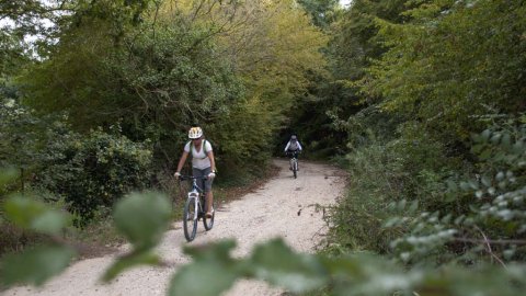 Mountain Biking Ancient Nikopolis near Preveza Ποδηλασία into the wild greece