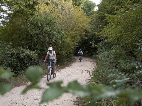 Mountain Biking Ancient Nikopolis near Preveza Ποδηλασία into the wild greece