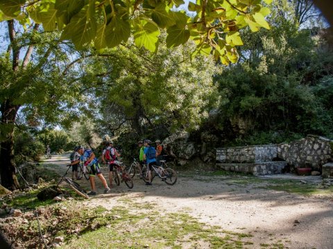 Mountain Biking Coastline & Forest, Preveza greece mtb intothewild ποδηλατα.jpg122