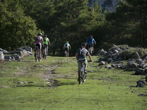 Mountain Biking Coastline & Forest, Preveza greece mtb intothewild ποδηλατα.jpg10