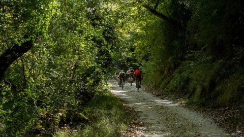 Mountain Biking Coastline & Forest, Preveza greece mtb intothewild ποδηλατα.jpg8