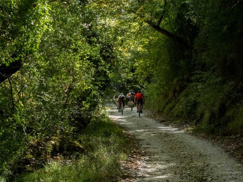 Mountain Biking Coastline & Forest, Preveza greece mtb intothewild ποδηλατα.jpg8