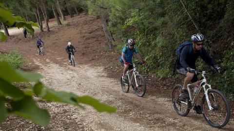 Mountain Biking Coastline & Forest, Preveza greece mtb intothewild ποδηλατα.jpg5.jpg6