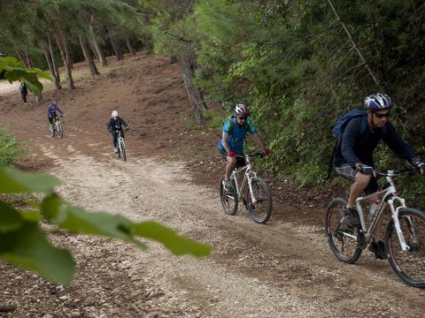 Mountain Biking Coastline & Forest, Preveza greece mtb intothewild ποδηλατα.jpg5.jpg6