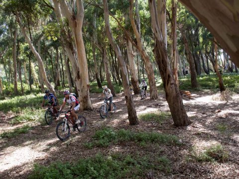 Mountain Biking Ancient Nikopolis near Preveza into the wild greece.jpg3