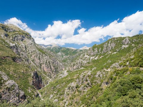 Hiking Kardamyli πεζοπορια greece.jpg5