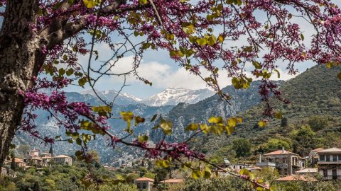 Hiking around Kardamyli