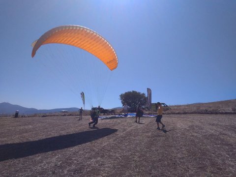 freedom paragliding Tandem Flights  Plataies (Boeotia) greece.jpg2