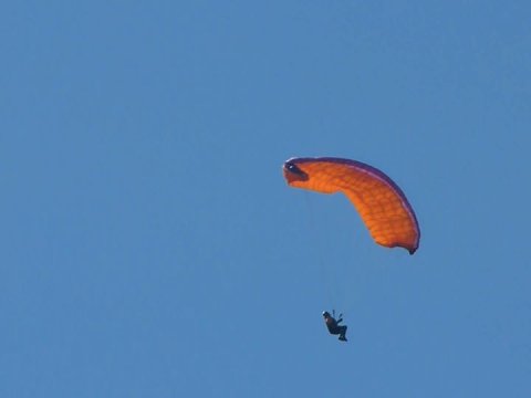 freedom paragliding Tandem Flights  Plataies (Boeotia) greece.jpg1