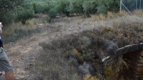 Mycenae Hiking The Valley of Souls greece creco paths.jpg9