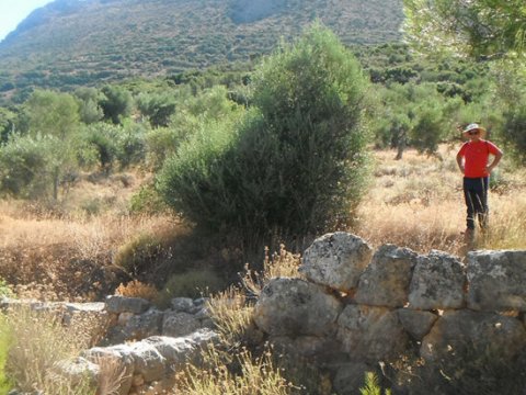 Mycenae Hiking The Valley of Souls greece creco paths.jpg6