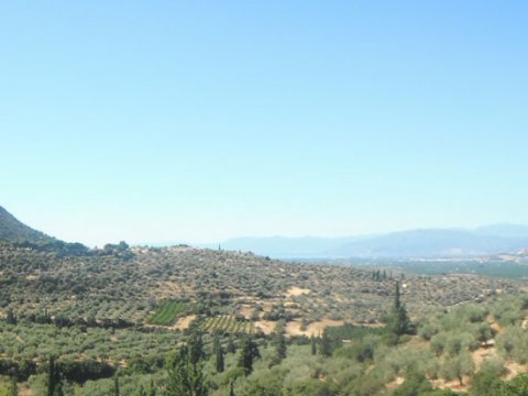 Mycenae Hiking The Valley of Souls greece creco paths.jpg5