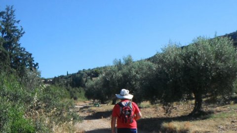 Mycenae Hiking The Valley of Souls greece creco paths.jpg4