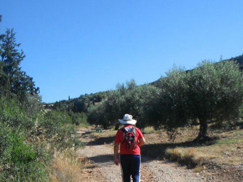 Mycenae Hiking The Valley of Souls greece creco paths.jpg4