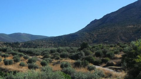 Mycenae Hiking The Valley of Souls greece creco paths.jpg2