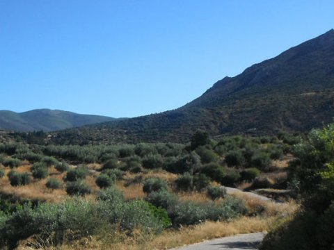 Mycenae Hiking The Valley of Souls greece creco paths.jpg2