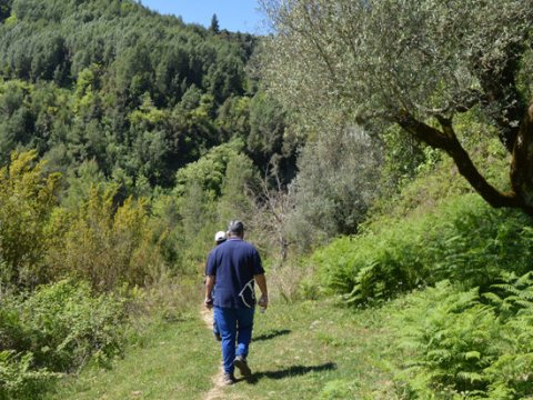 Hiking Olympia Waterfalls greece greco paths πεζοπορια.jpg5.jpg9