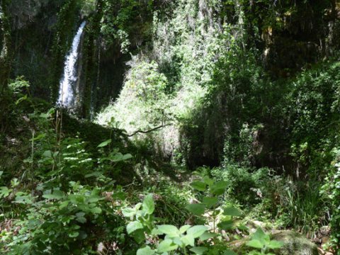 Hiking Olympia Waterfalls greece greco paths πεζοπορια.jpg6