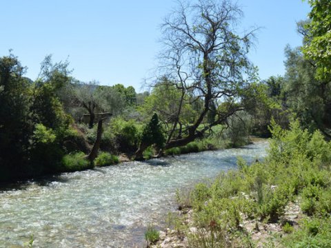 Hiking Olympia Waterfalls greece greco paths πεζοπορια.jpg4