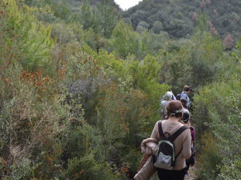 Hiking at Olympia greece greco paths πεζοπορια.jpg6