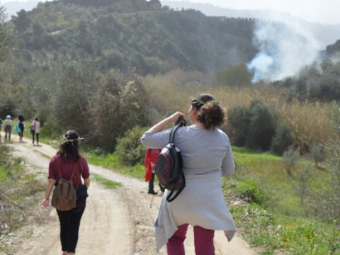 Hiking at Olympia greece greco paths πεζοπορια.jpg4