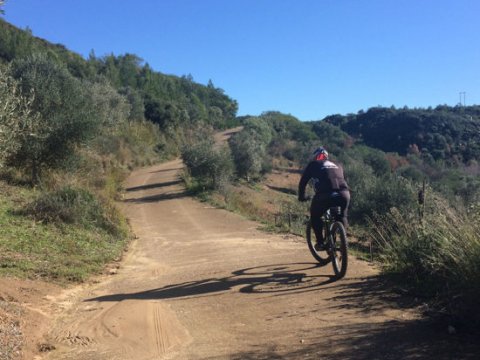 Cycling in Olympia greece ποδηλασια greco paths.jpg11
