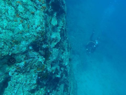 Scuba Diving Skyros gorgonia greece καταδυσεις.jpg6