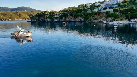 Scuba Diving Skyros gorgonia greece καταδυσεις.jpg5