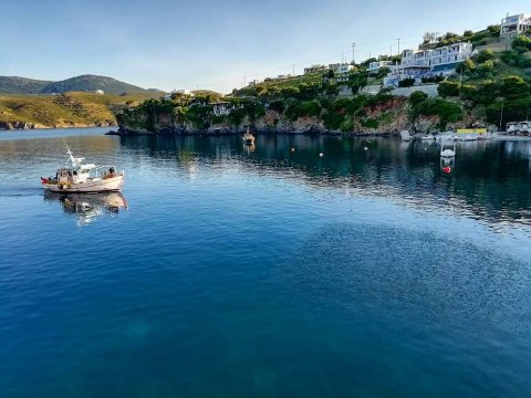 Scuba Diving Skyros gorgonia greece καταδυσεις.jpg5