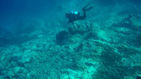 Scuba Diving Skyros gorgonia greece καταδυσεις.jpg4