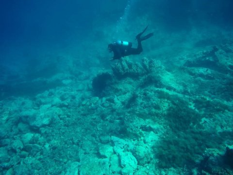 Scuba Diving Skyros gorgonia greece καταδυσεις.jpg4
