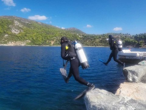 Scuba Diving Skyros gorgonia greece καταδυσεις