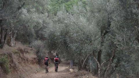 Cycling Lesvos ride Bay of Gera greece  (5)