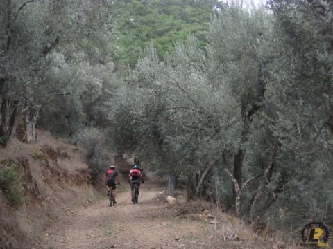 Cycling Lesvos ride Bay of Gera greece  (5)