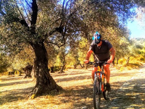 Cycling Lesvos ride greece ποδηλασια mountain bike (1)