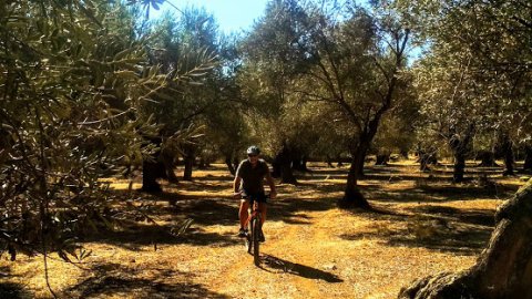 Cycling Lesvos ride greece ποδηλασια mountain bike (2)