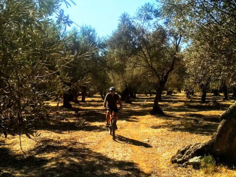 Cycling Lesvos ride greece ποδηλασια mountain bike (2)