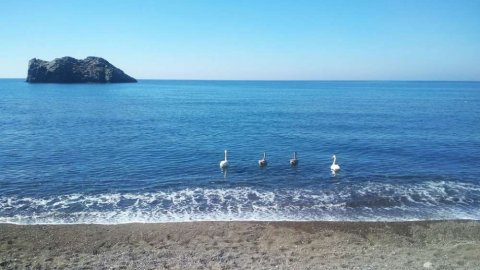 Clycling Lesvos ride greece mountain bike ποδηλασια Volcanic Rocks (5)