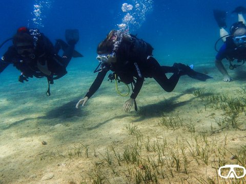 Azure Diving Center open water courses toroni halkidiki greece μαθηματα καταδυσης.jpg7