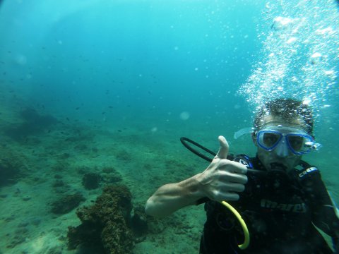 dive chalkida evia aegean seals scuba center καταδυσεις greece.jpg11