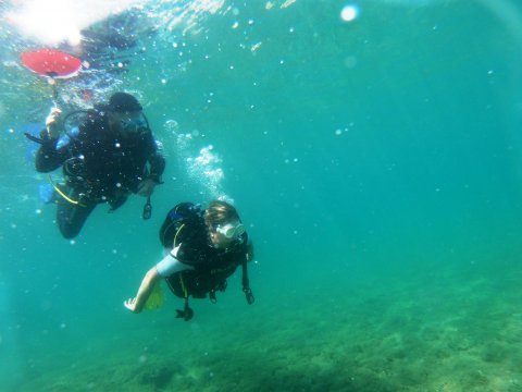 dive chalkida evia aegean seals scuba center καταδυσεις greece.jpg10