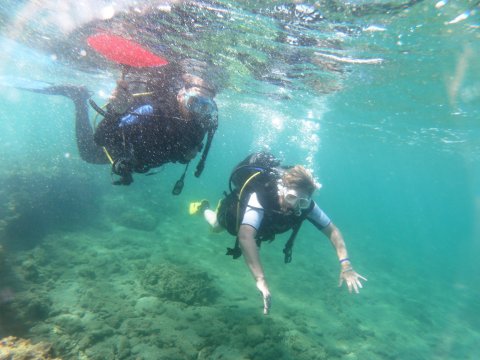 dive chalkida evia aegean seals scuba center καταδυσεις greece.jpg8