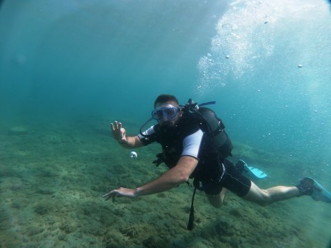 dive chalkida evia aegean seals scuba center καταδυσεις greece.jpg7