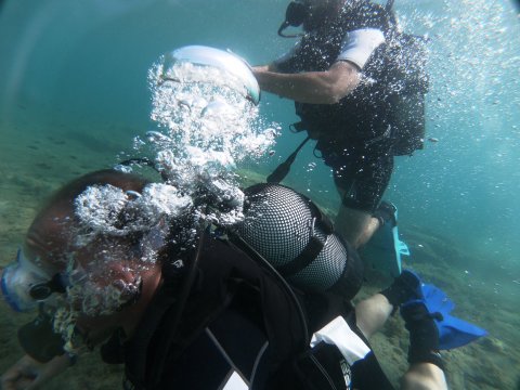 dive chalkida evia aegean seals scuba center καταδυσεις greece.jpg6