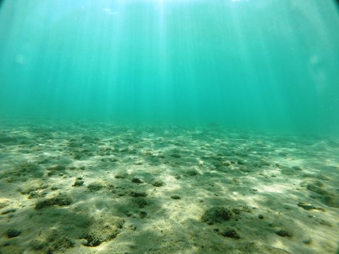 dive chalkida evia aegean seals scuba center καταδυσεις greece.jpg1