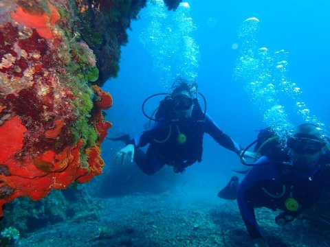 Alonissos seacolours Dive center scuba καταδυσεις greece