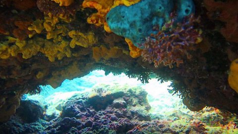 Amorgos scuba Diving Center καταδυσεις greece dive.jpg2
