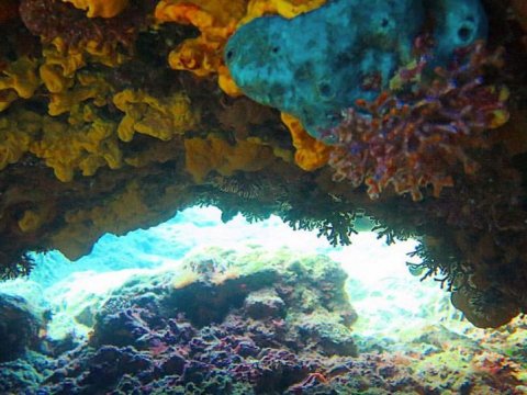 Amorgos scuba Diving Center καταδυσεις greece dive.jpg2