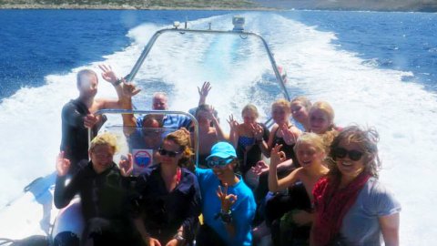 snorkeling amorgos scuba Diving Center greece.jpg5