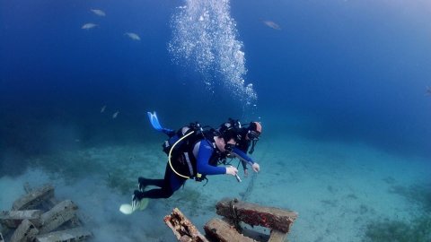 Athos ouranoypoli Scuba Diving Center chalkidiki καταδυσεις greece.jpg12
